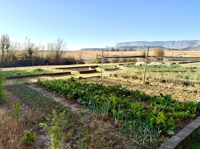 0 Bedroom Property for Sale in Harrismith Free State
